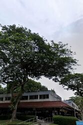 Blk 529 Cheng San Centre (Ang Mo Kio), HDB 3 Rooms #602850641